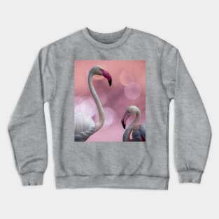 Pink Shine Crewneck Sweatshirt